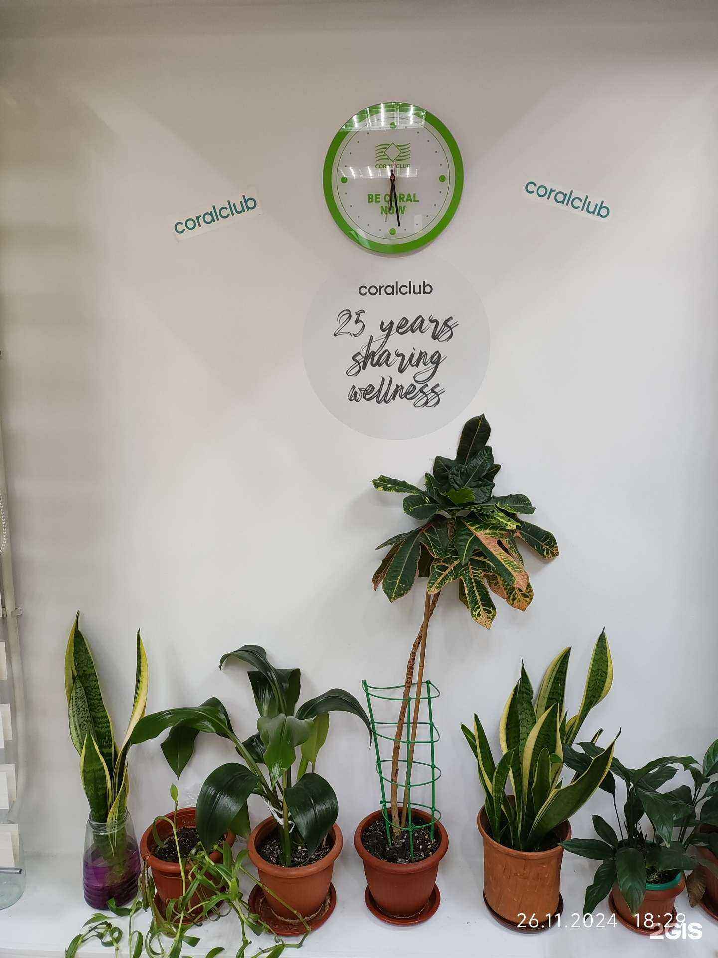 Отзывы на компанию Coral club в г. Череповец c фото