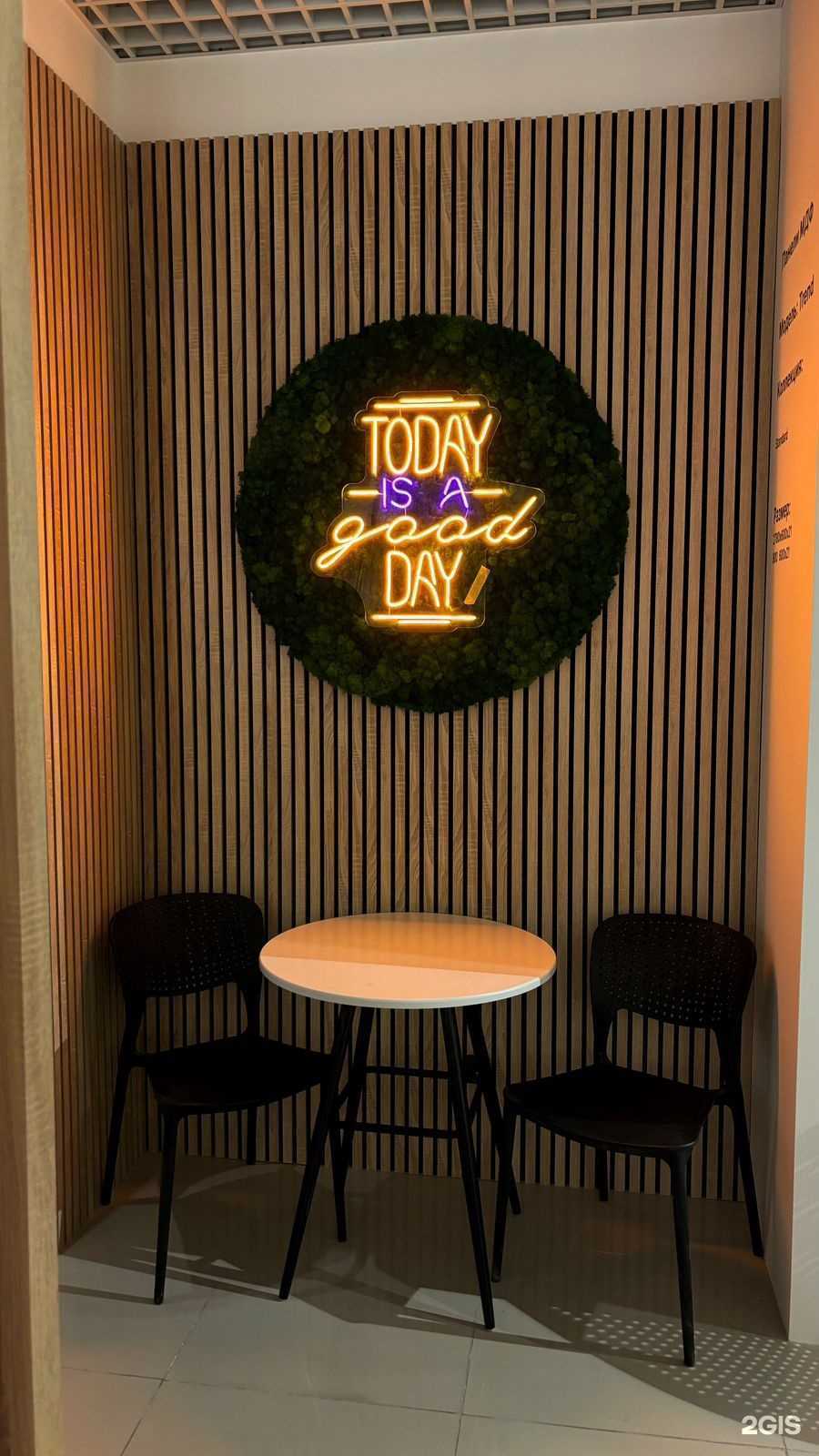 Отзывы на компанию Stella в Краснодаре c фото