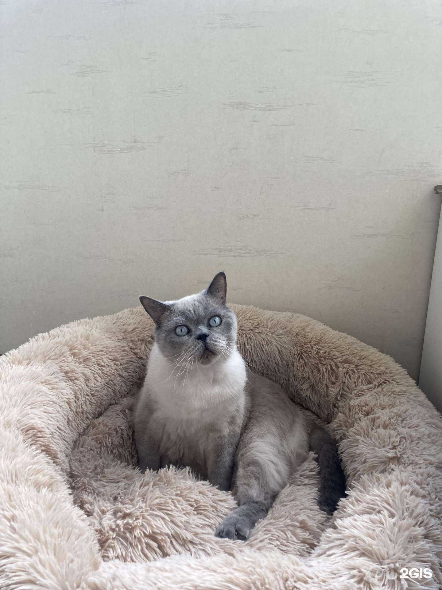 Отзывы на компанию Снежный барс в Краснодаре c фото