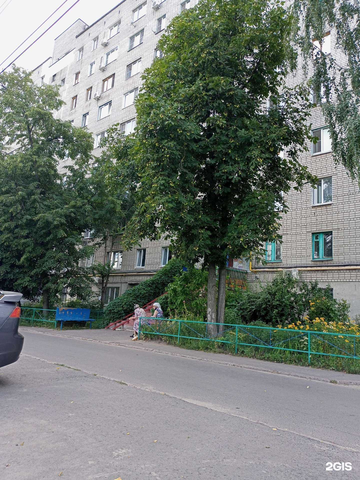 Отзывы на компанию Феликс-Курск в Курске c фото - фотография 2 из 2