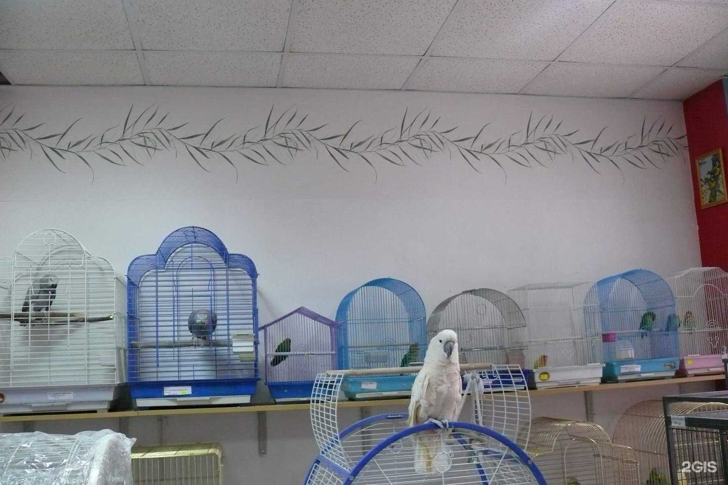 Отзывы на компанию Мир живой природы в Тюмени c фото