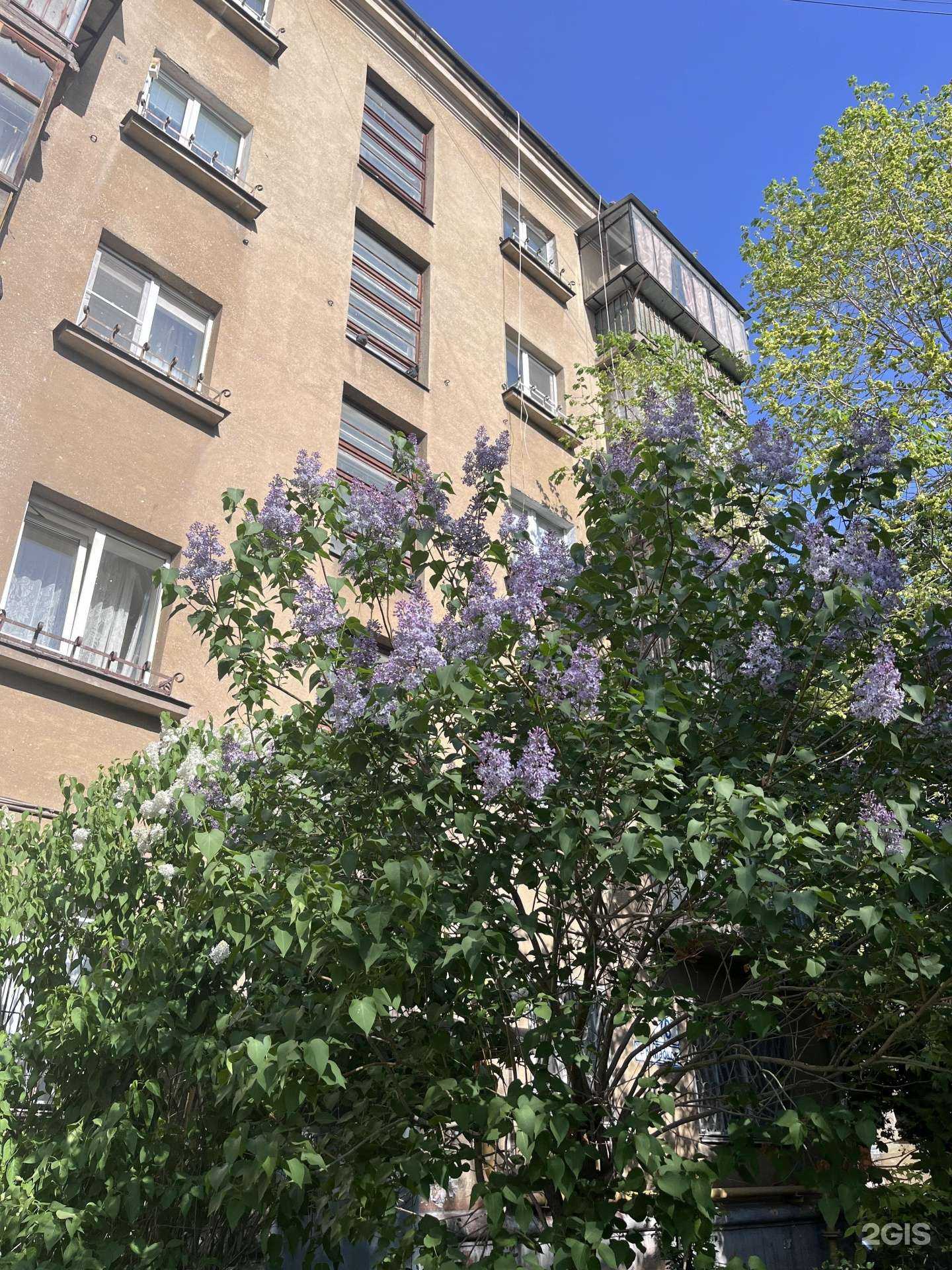 Отзывы на компанию Дела цветочные в Магнитогорске c фото - фотография 2 из 2