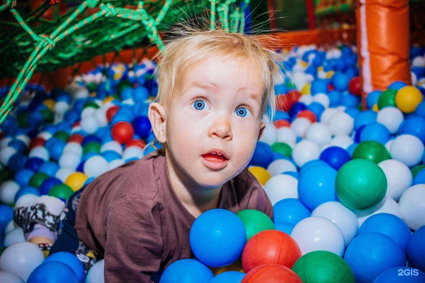 Отзывы на компанию Мадагаскар в Курске c фото