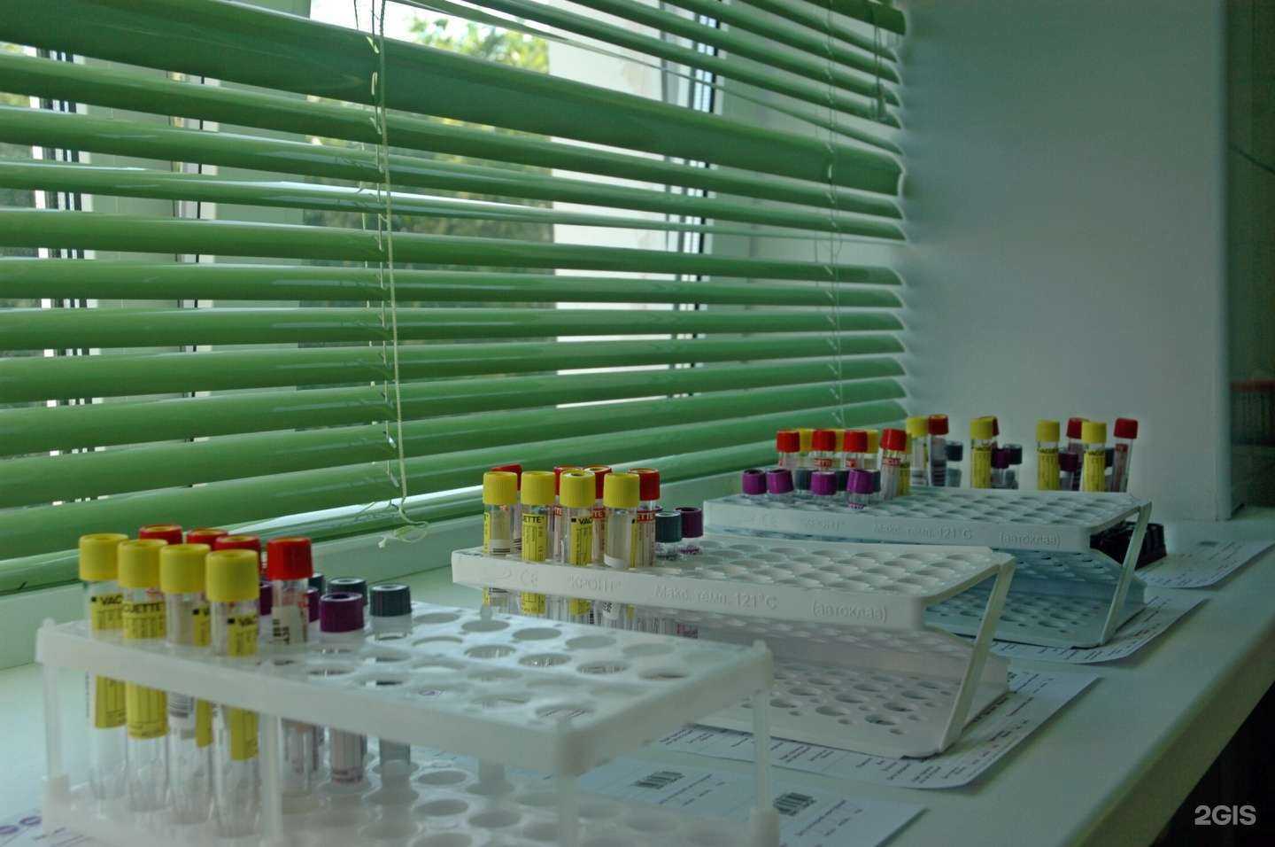 Отзывы на компанию Губерния в Тольятти c фото