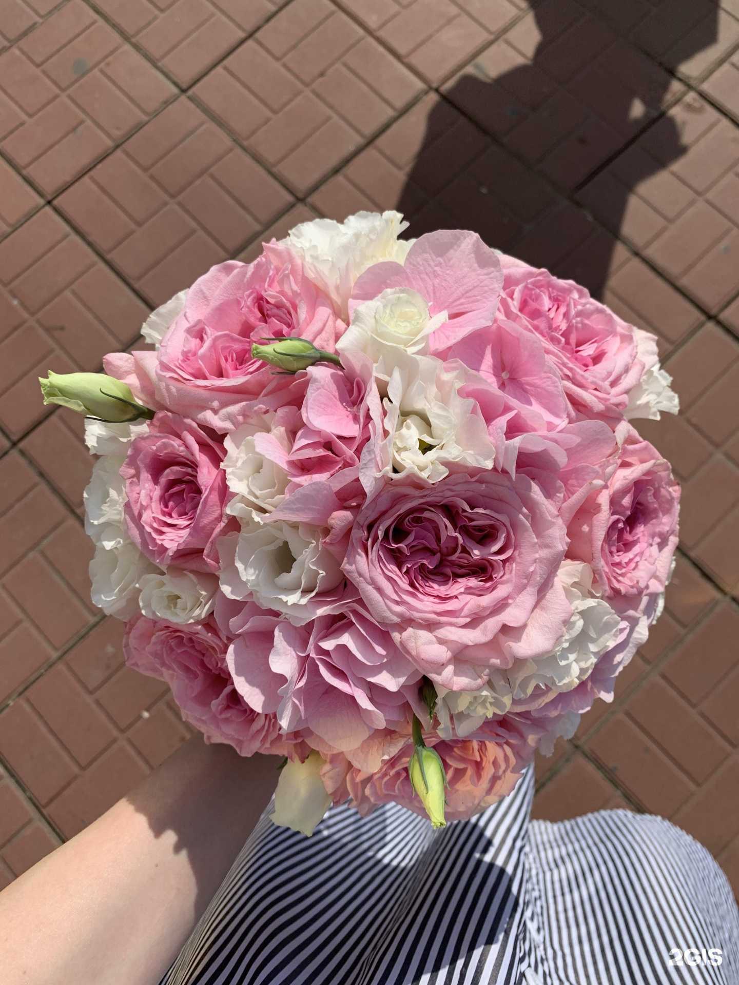 Отзывы на компанию Wild orhid в Чебоксарах c фото