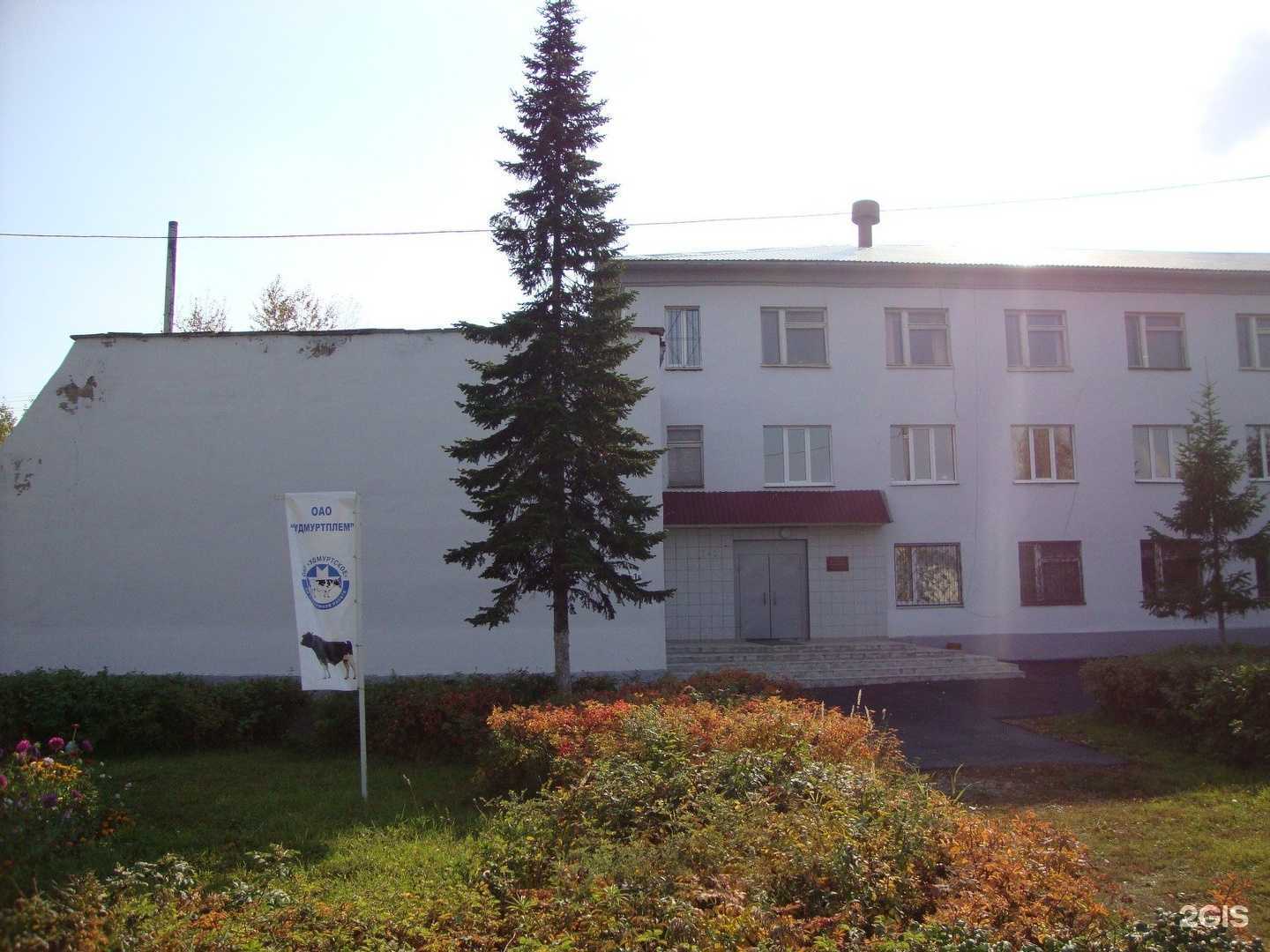 Отзывы на компанию Бавис-Агро в Ижевске c фото