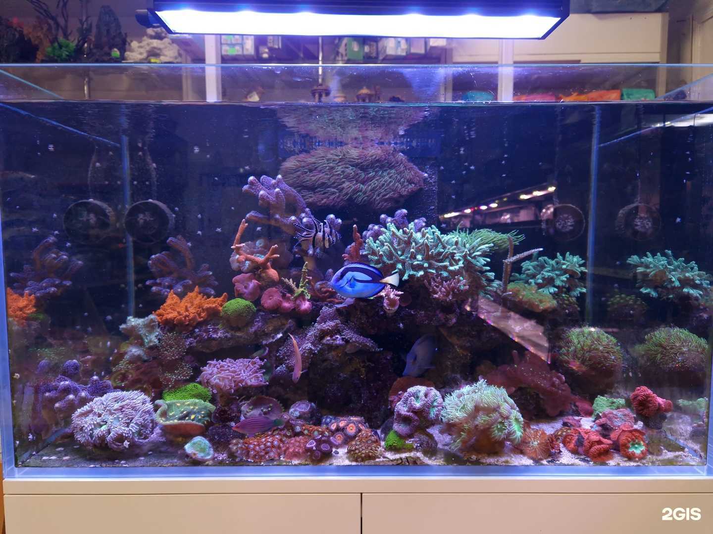 Отзывы на компанию Подводная братва в г. Тамбов c фото