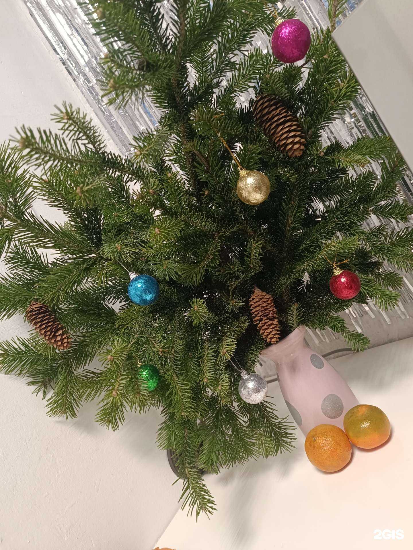 Отзывы на компанию Vosk_sahar42 в Кемерове c фото