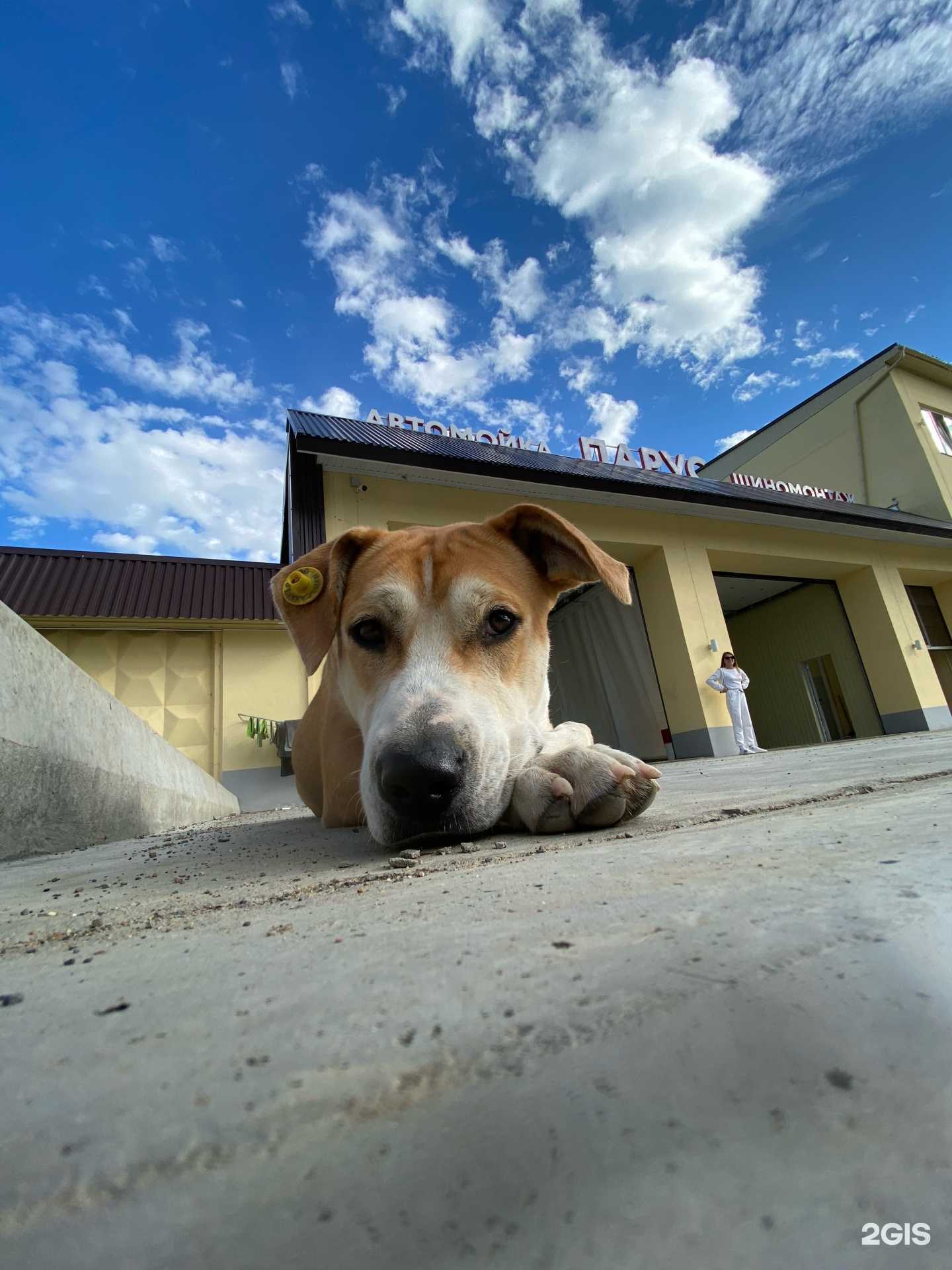 Отзывы на компанию Парус в г. Комсомольск-на-Амуре c фото