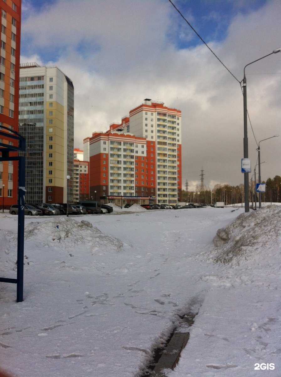 Отзывы на компанию Zooгурман в Томске c фото - фотография 2 из 2