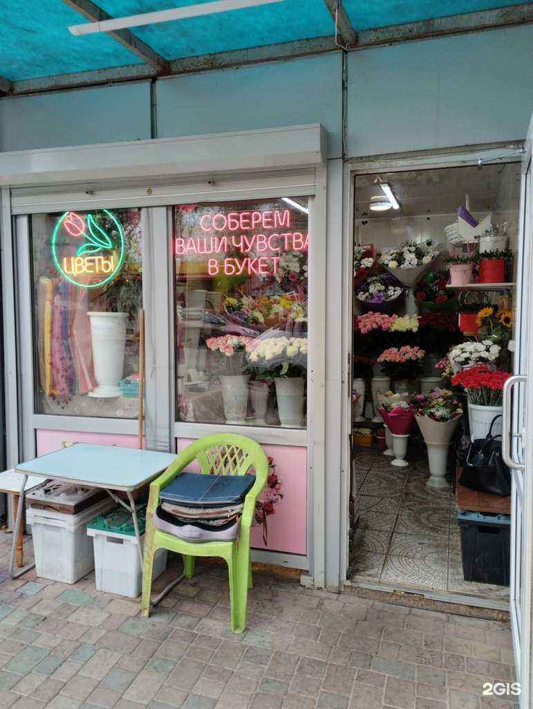 Отзывы на компанию Amore в Волгограде c фото