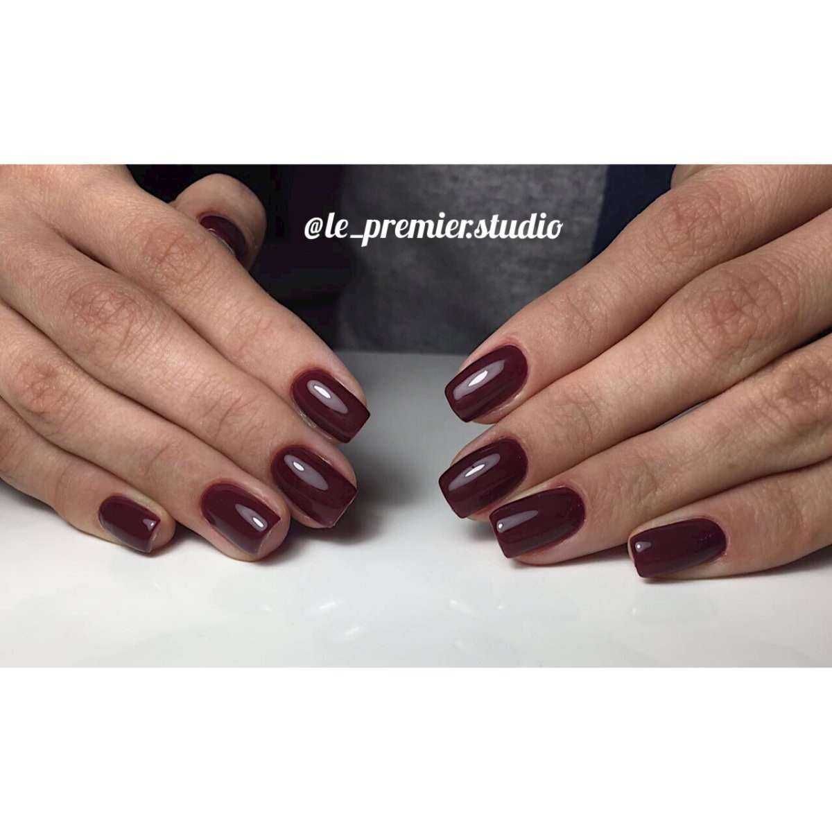 Отзывы на компанию Le Premier в Ростове-на-Дону c фото