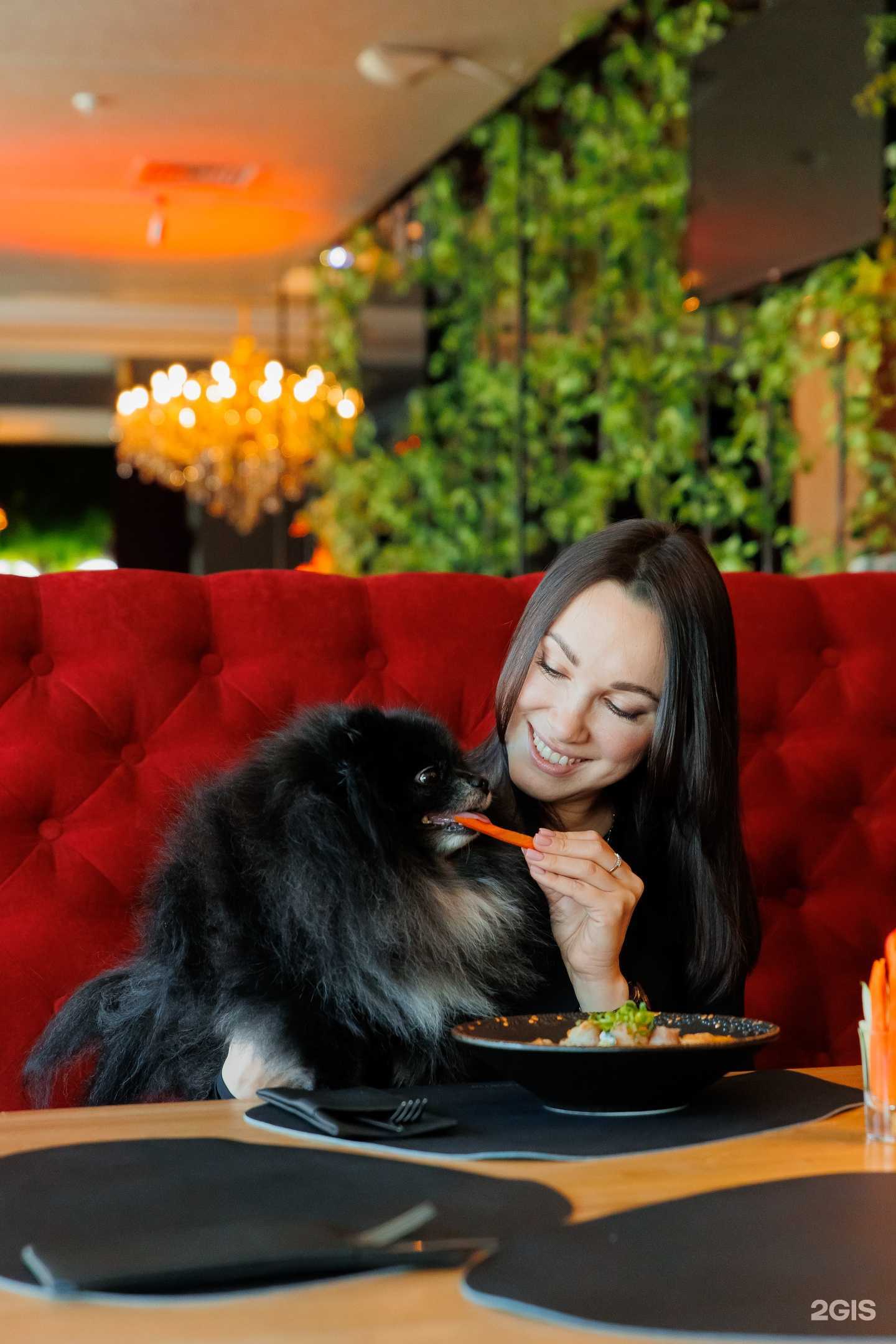 Отзывы на компанию Шелест в Хабаровске c фото