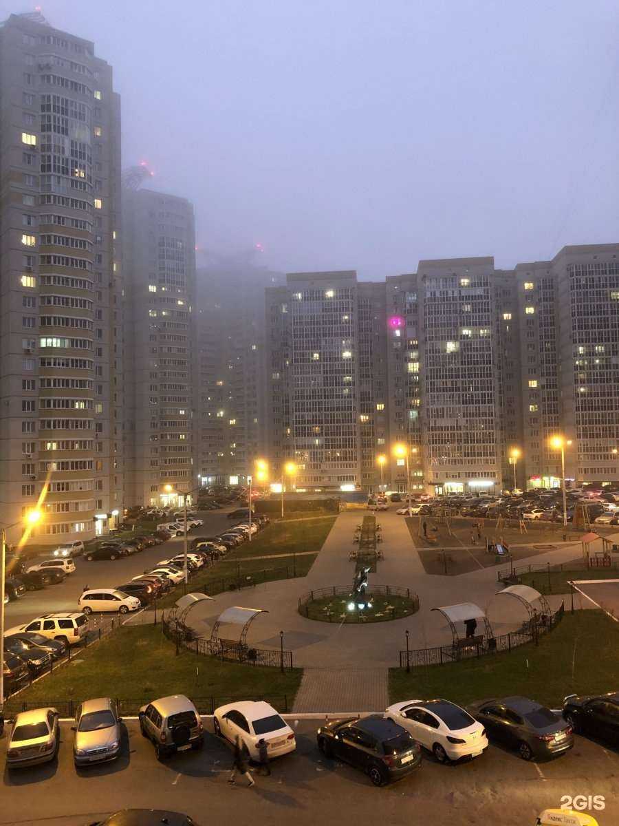 Отзывы на компанию Brovolog в Воронеже c фото - фотография 2 из 2