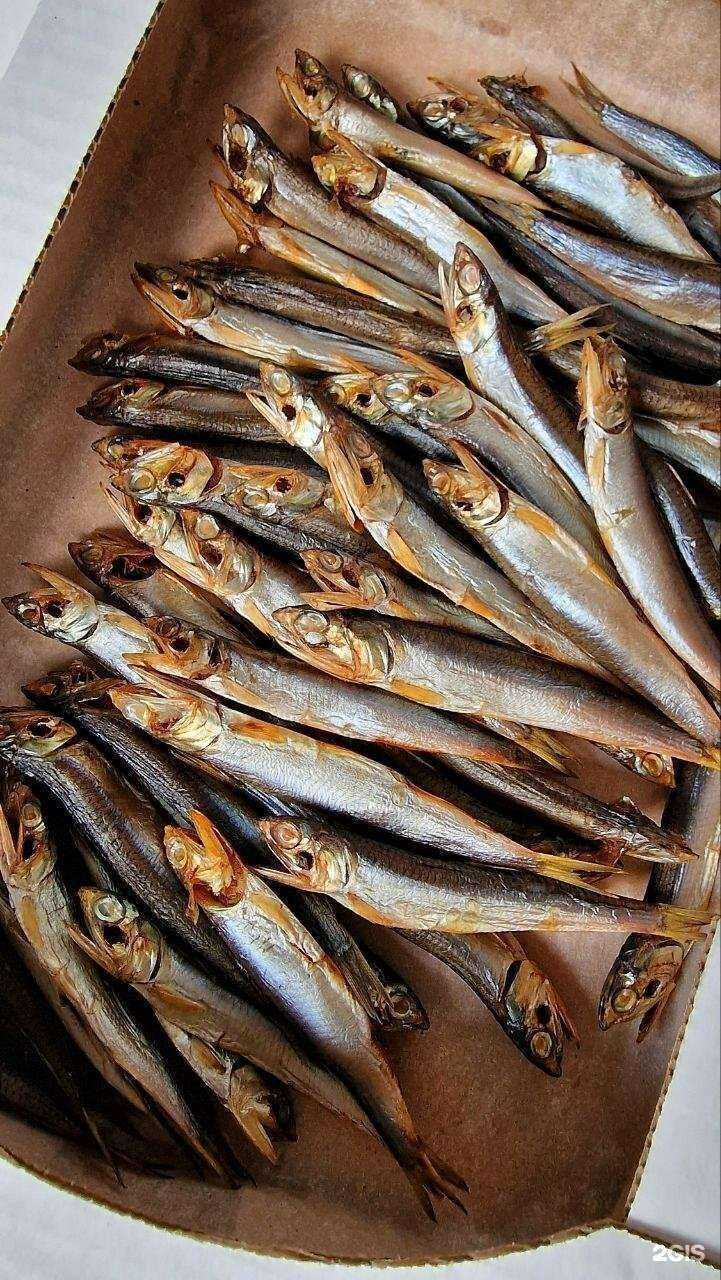 Отзывы на компанию Fishing Sochi в г. Сочи c фото