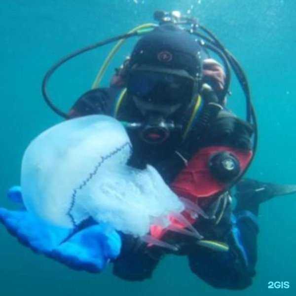 Отзывы на компанию Water deep в Новороссийске c фото