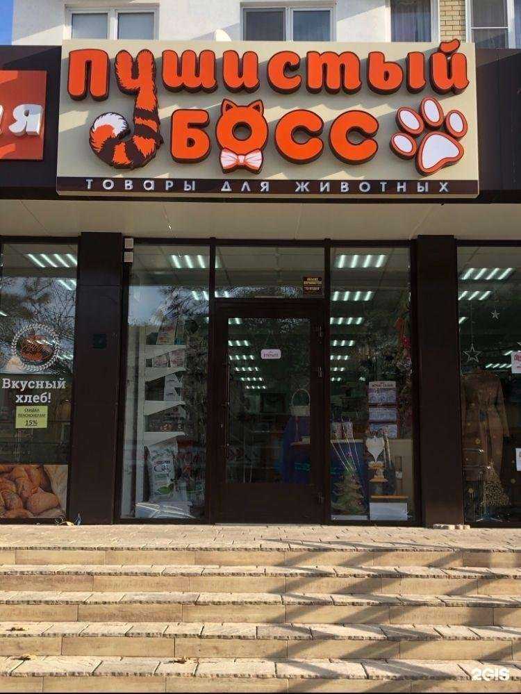 Отзывы на компанию Пушистый босс в г. Анапа c фото