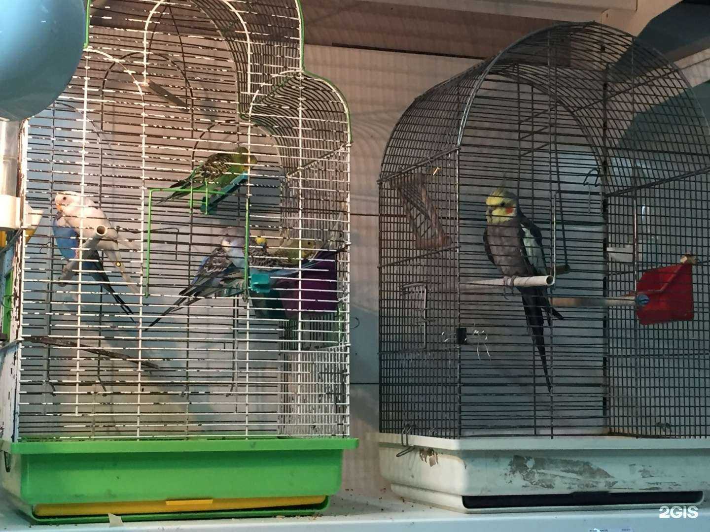 Отзывы на компанию Абсолютный сезон в Кемерове c фото