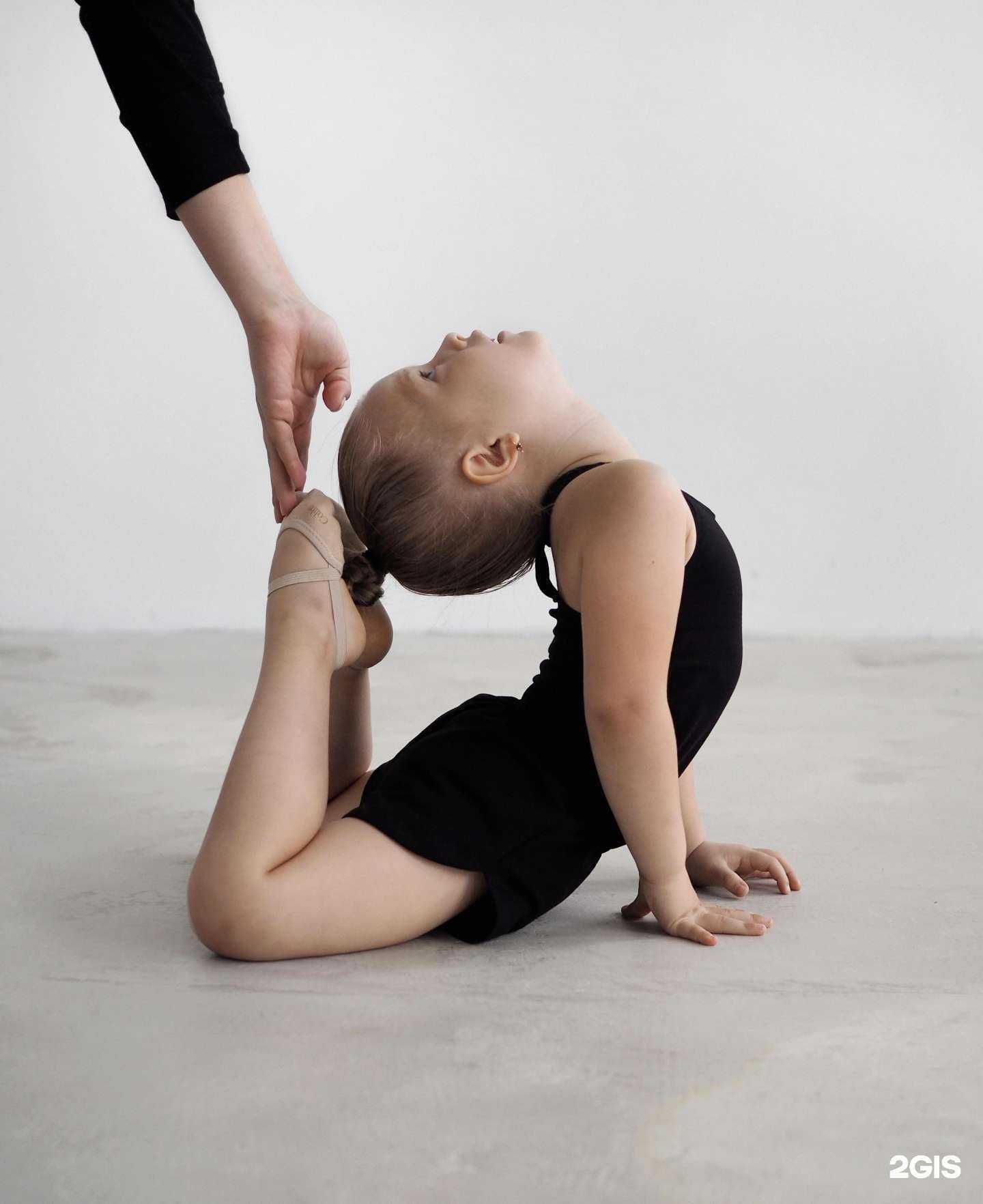 Отзывы на компанию F sport в г. Екатеринбург c фото