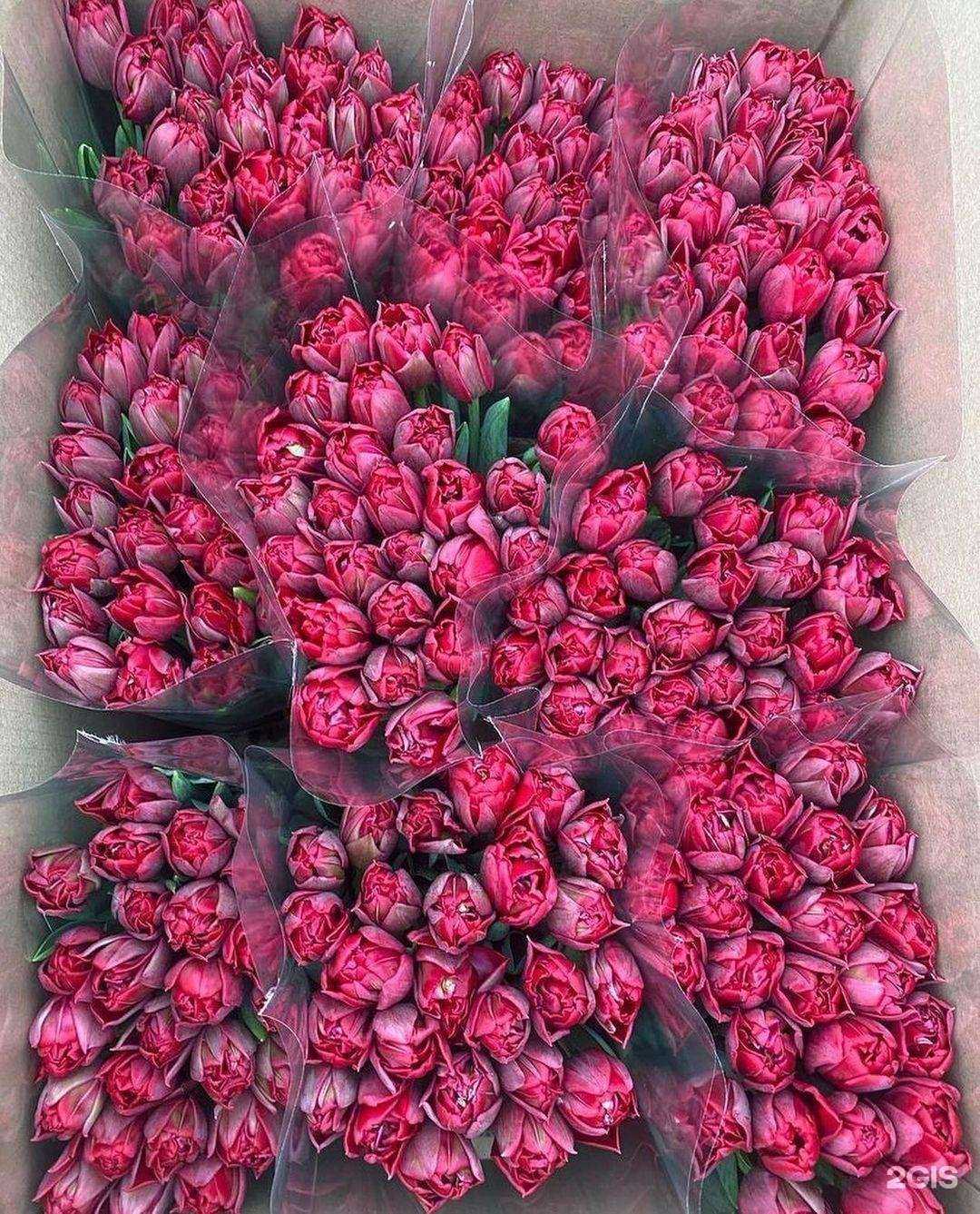 Отзывы на компанию Цветочный киоск в Краснодаре c фото