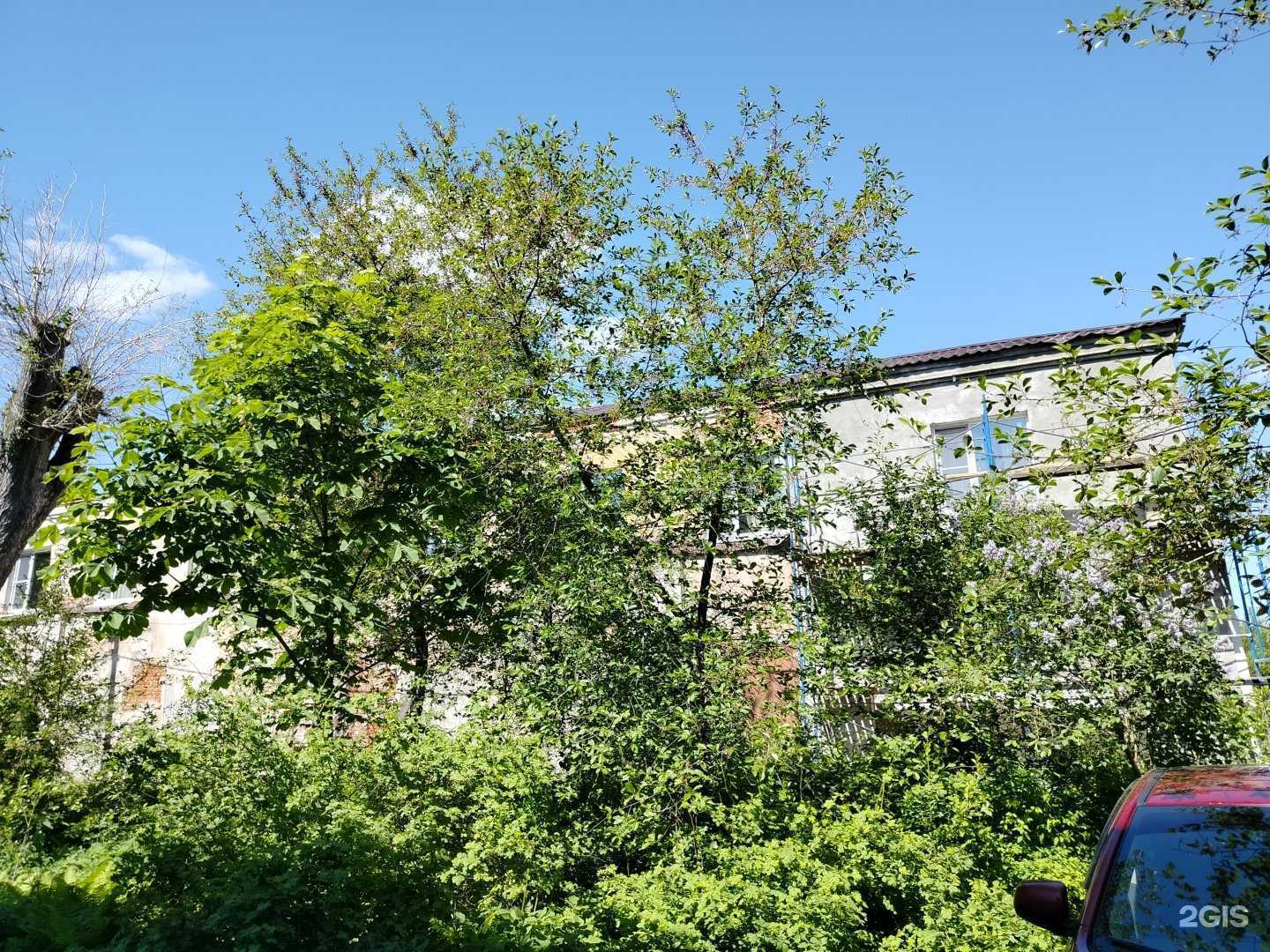 Отзывы на компанию Dostoevsky quest в Орехово-Зуеве c фото