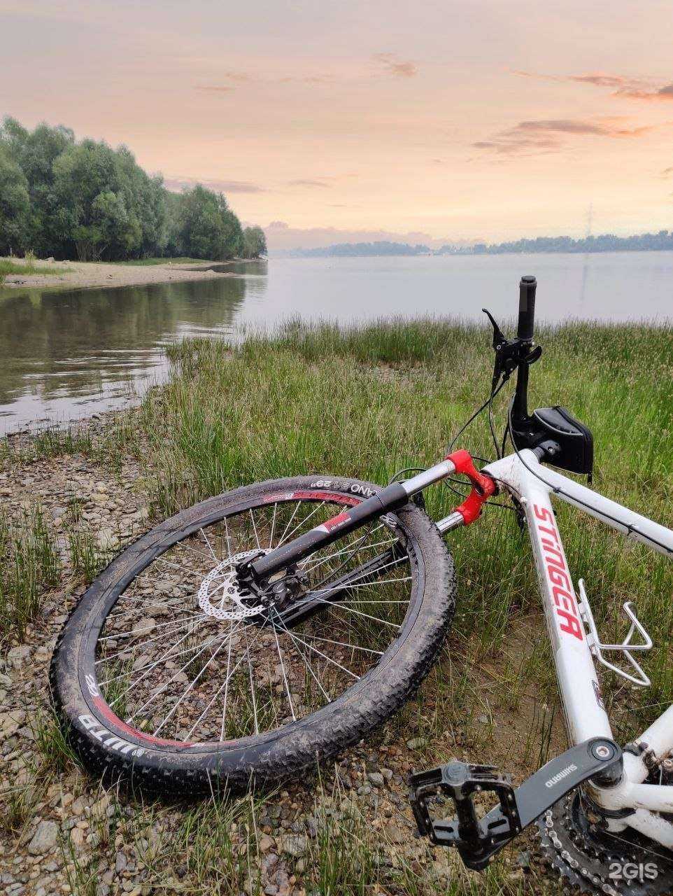 Отзывы на компанию Абсолют прокат в Новосибирске c фото