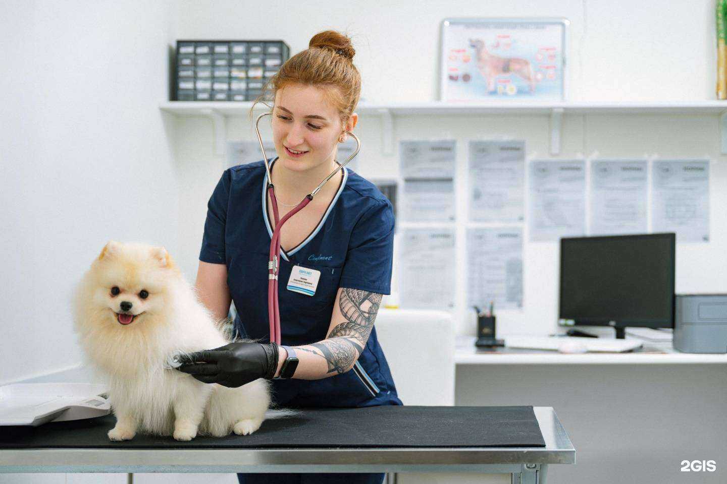 Отзывы на компанию Евровет в Омске c фото