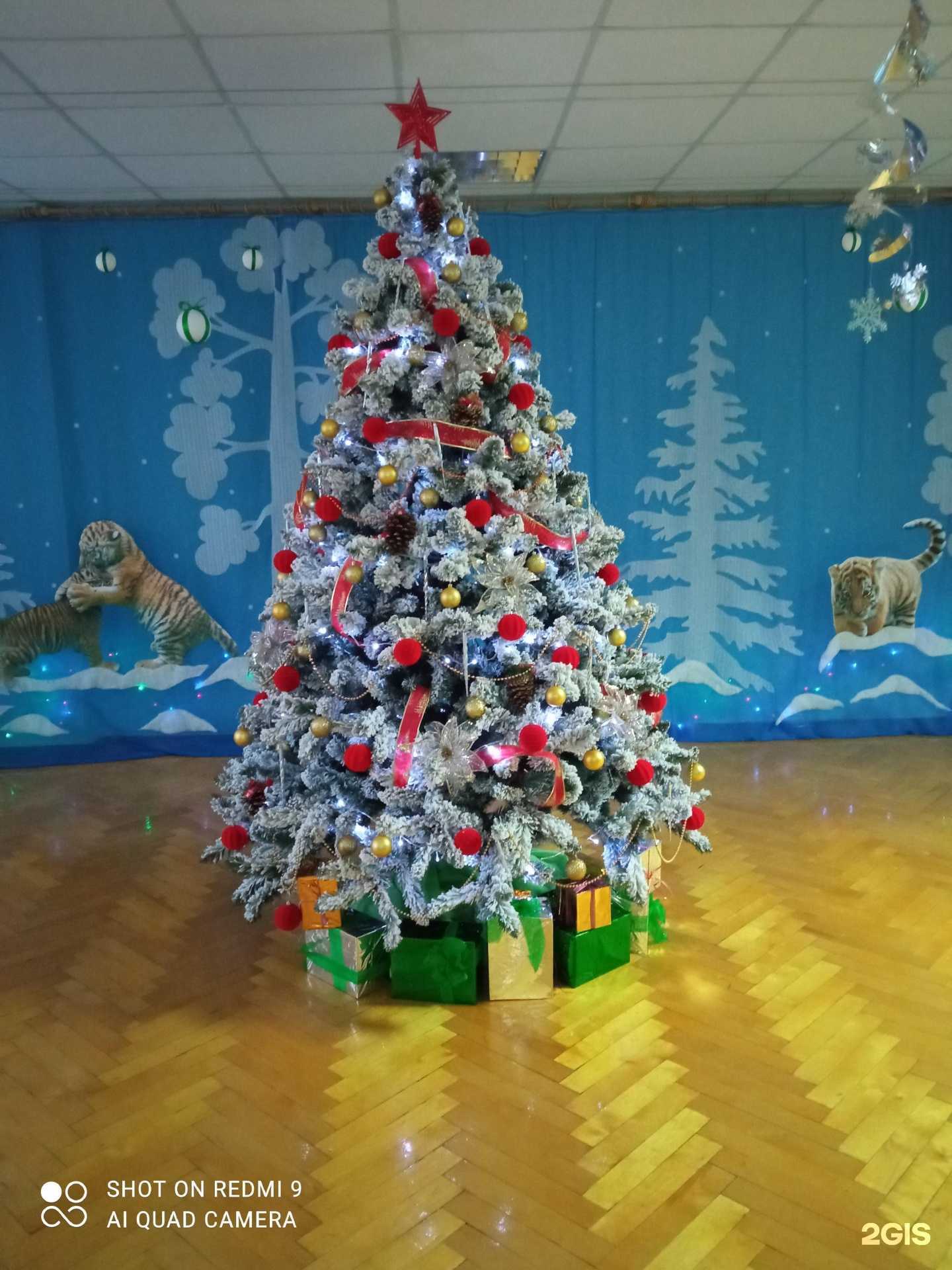 Отзывы на компанию Алый парус в г. Пенза c фото