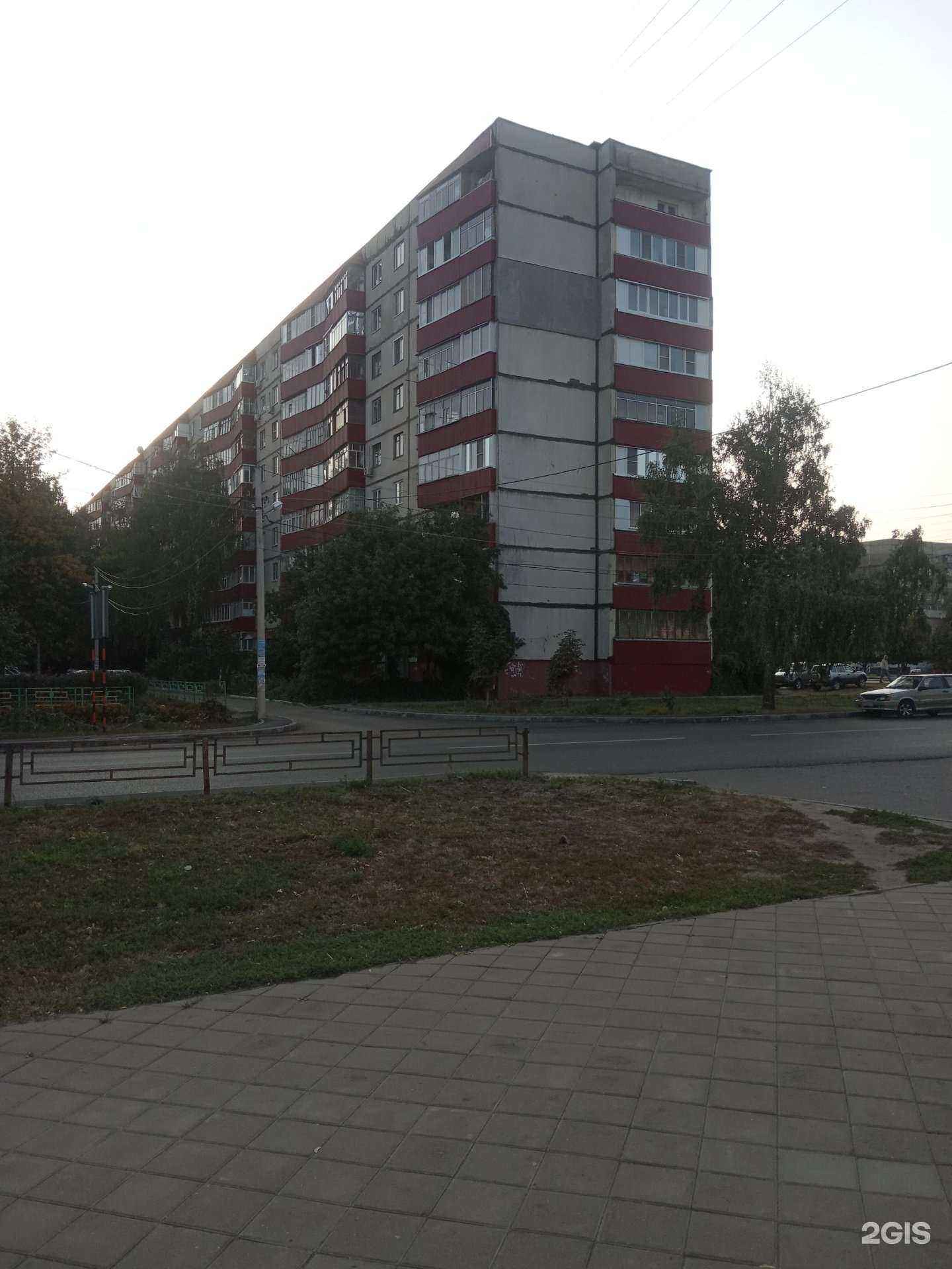 Отзывы на компанию Стоматошка в Тамбове c фото - фотография 2 из 2