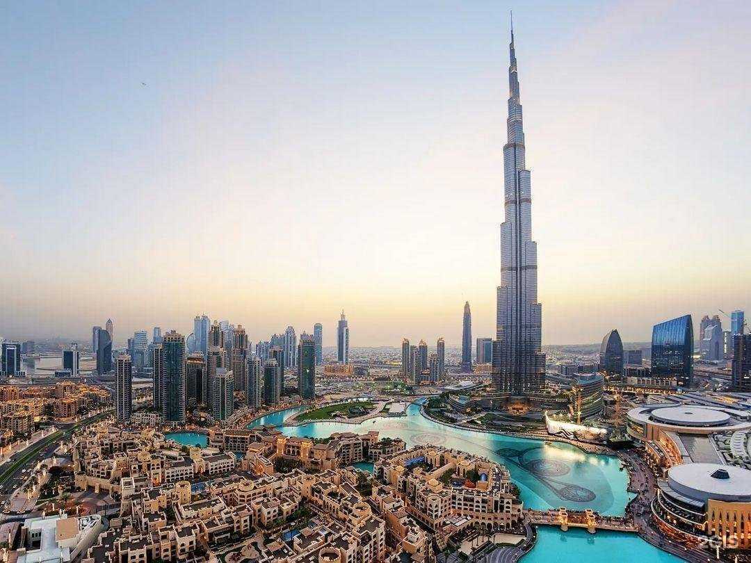 Отзывы на компанию VIP travel в г. Сочи c фото