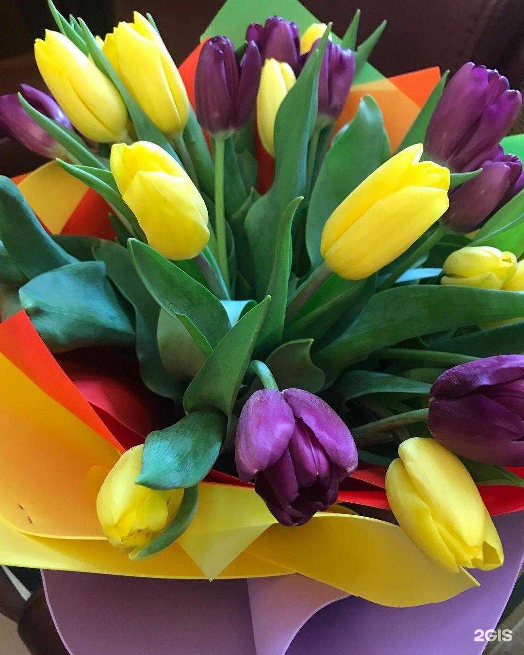 Отзывы на компанию Осень в Мурманске c фото