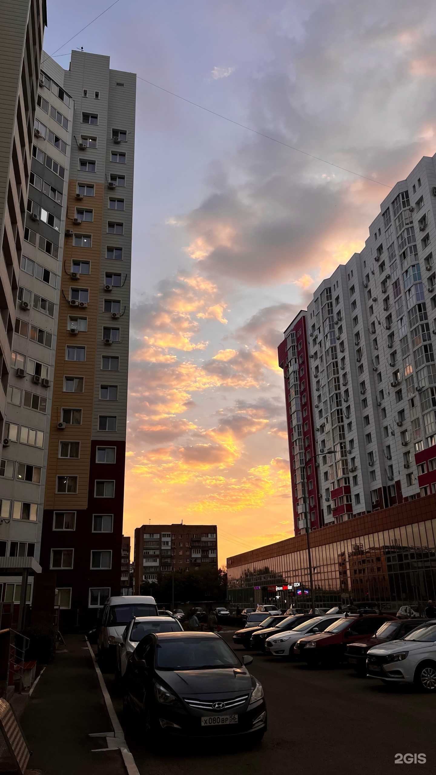 Отзывы на компанию Anti-pasto в Оренбурге c фото - фотография 2 из 2