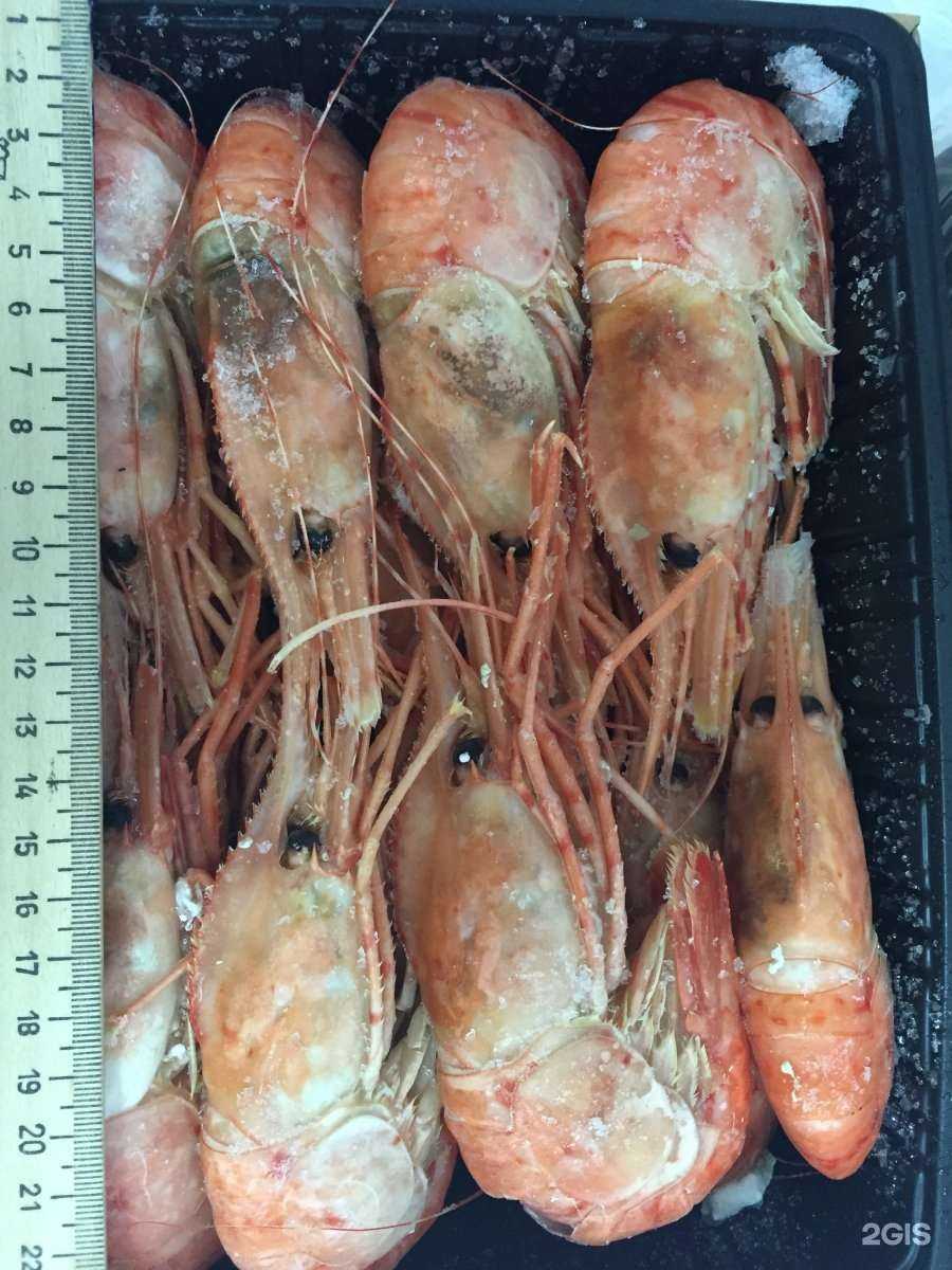 Отзывы на компанию Filfish в Краснодаре c фото