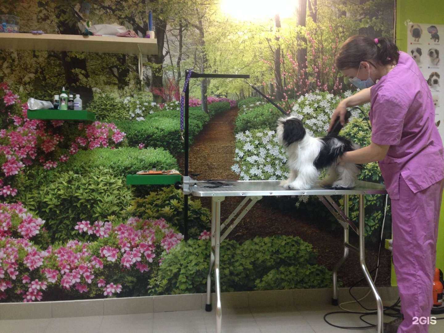 Отзывы на компанию Грум будка в Краснодаре c фото