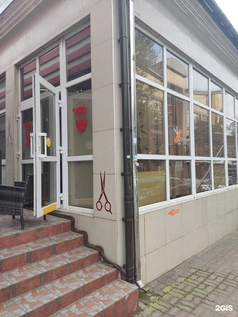 Отзывы на компанию Color в Сочи c фото