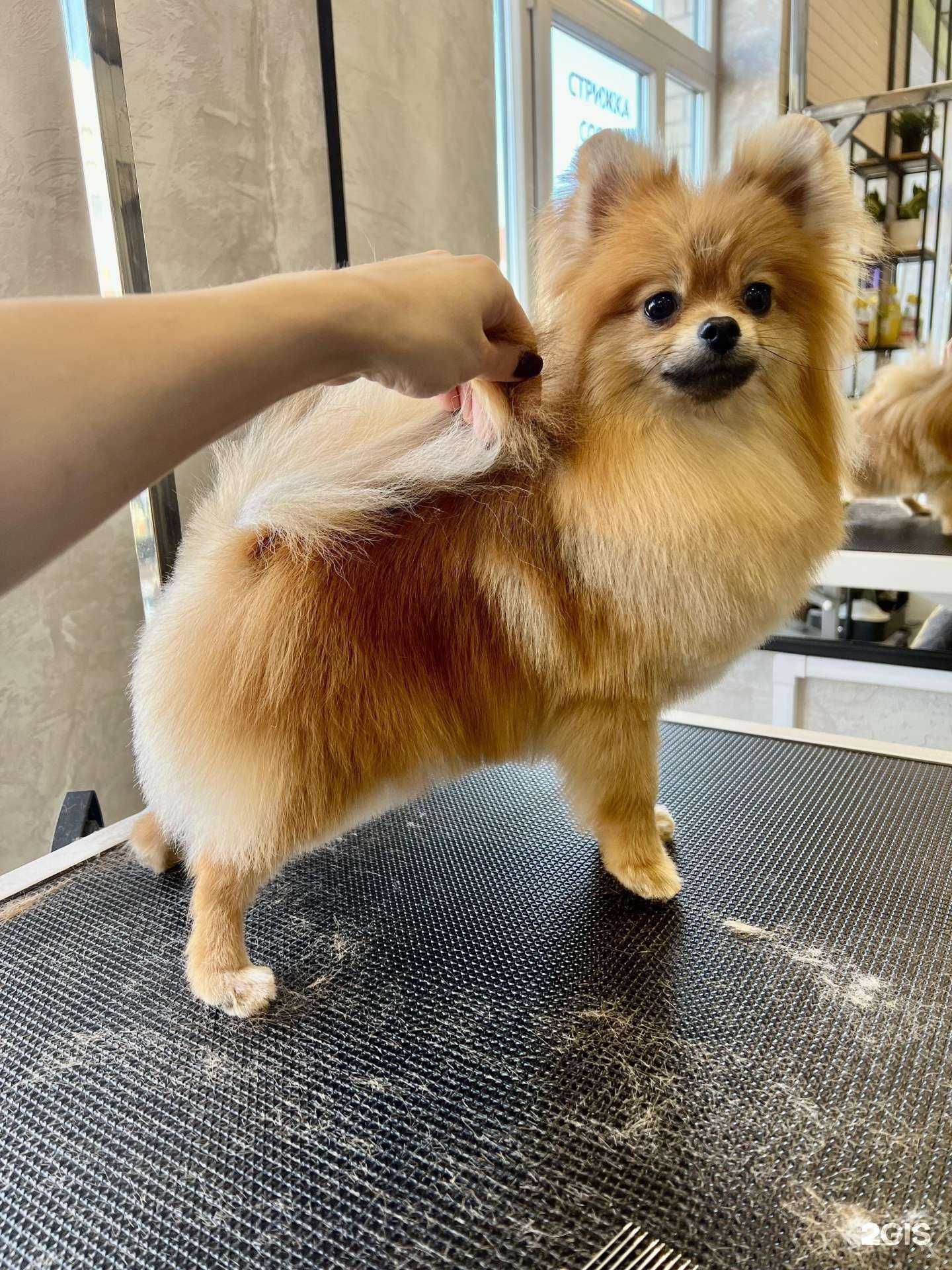 Отзывы на компанию Красавчик в г. Калининград c фото