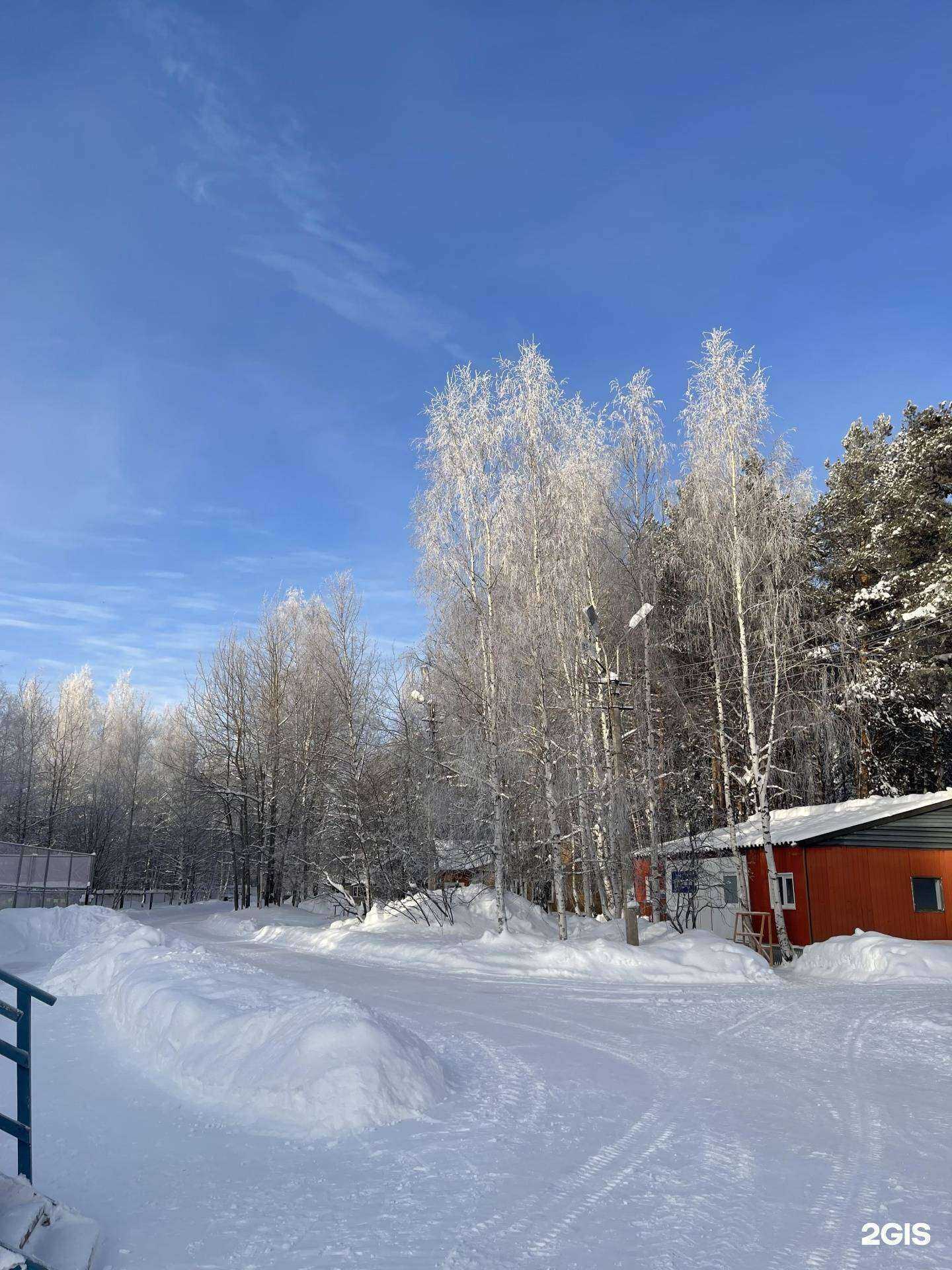 Отзывы на компанию Здоровье в Сургуте c фото