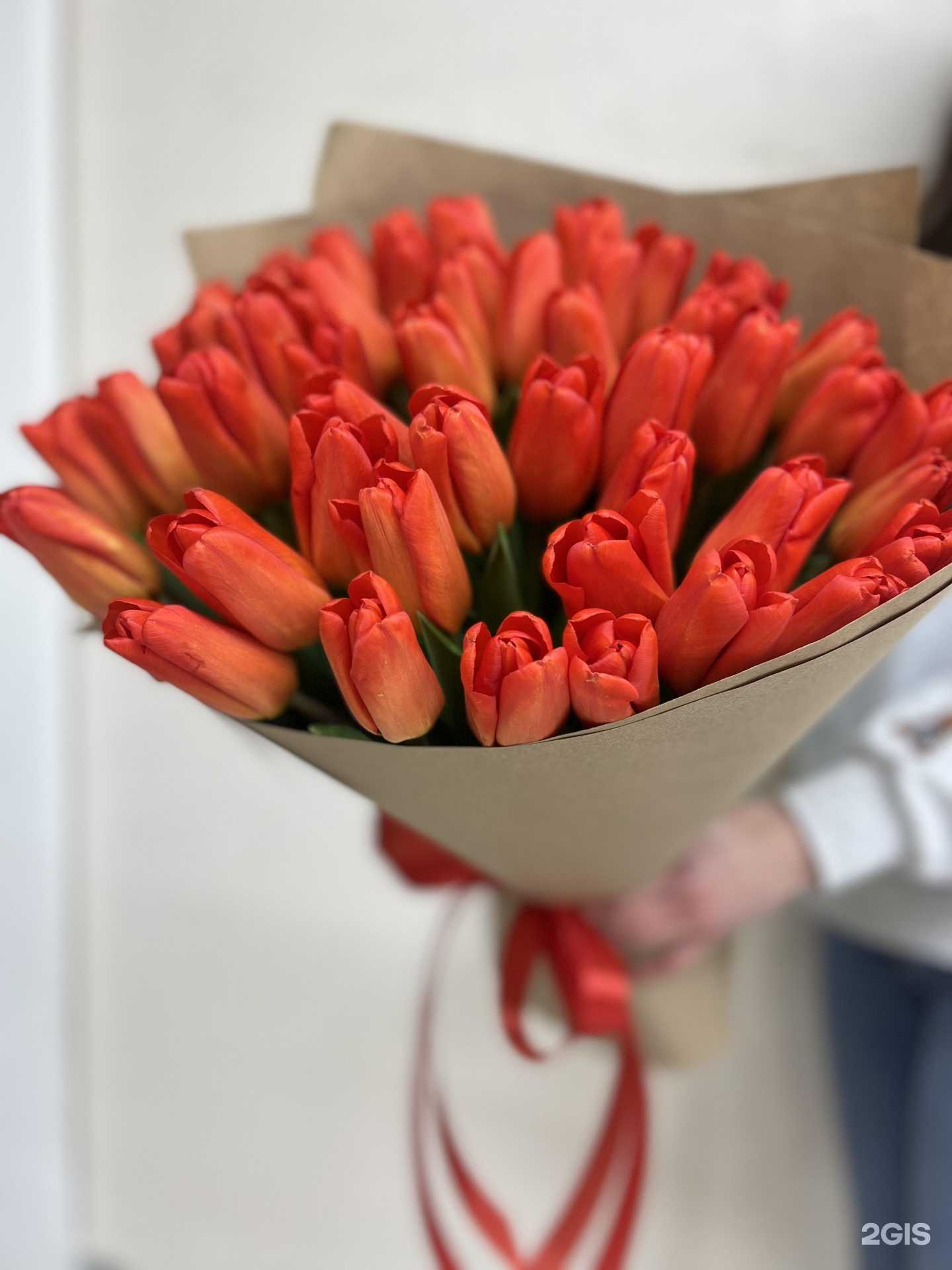 Отзывы на компанию Фиалочная в Ставрополе c фото