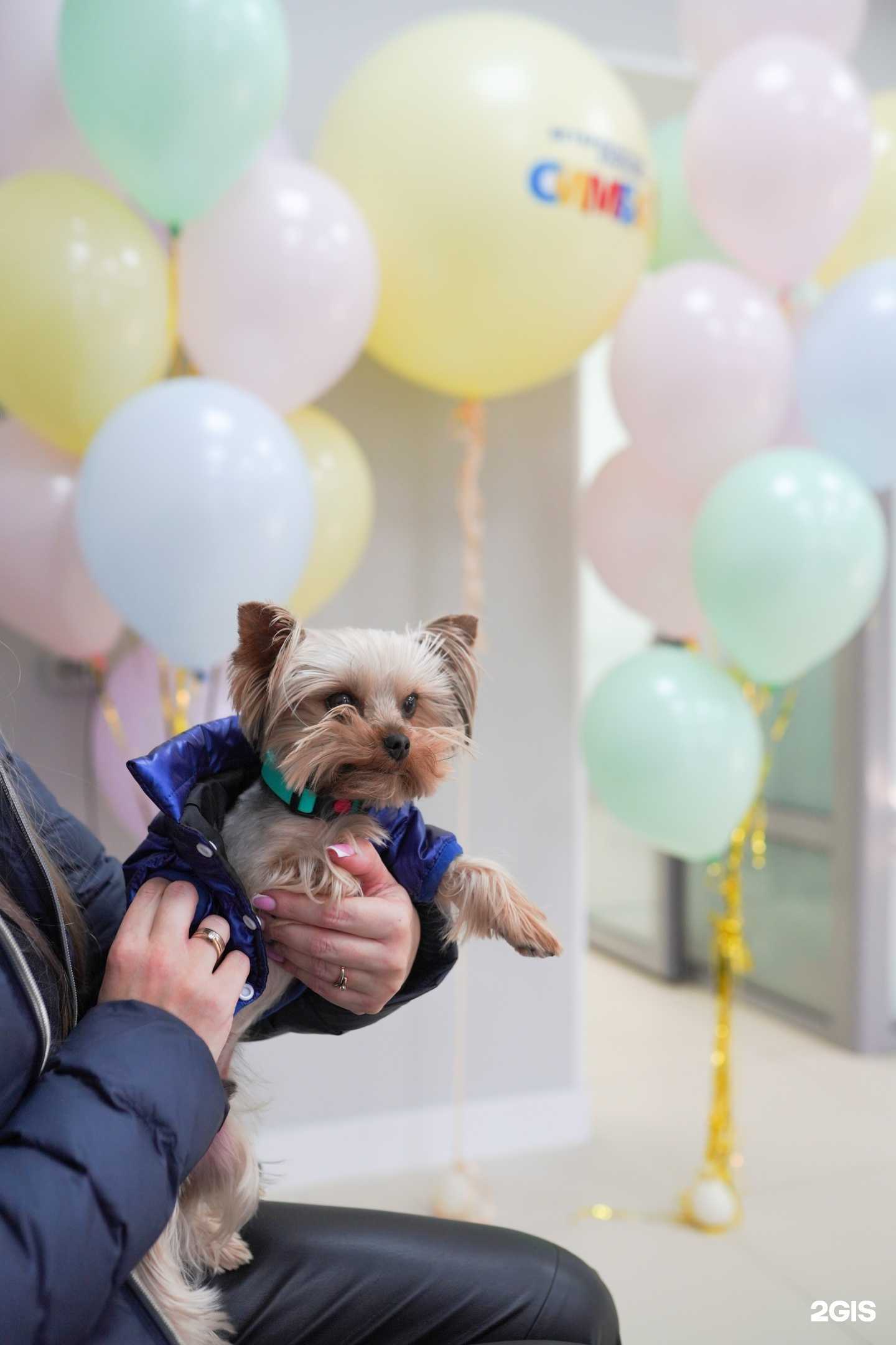 Отзывы на компанию Симба в Иркутске c фото