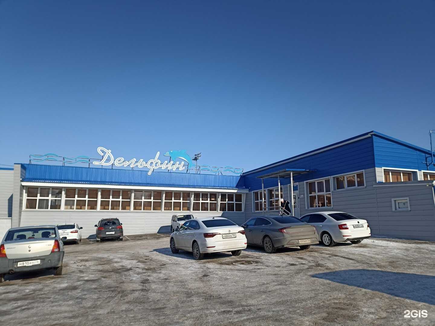 Отзывы на компанию Дельфин в Лермонтове c фото