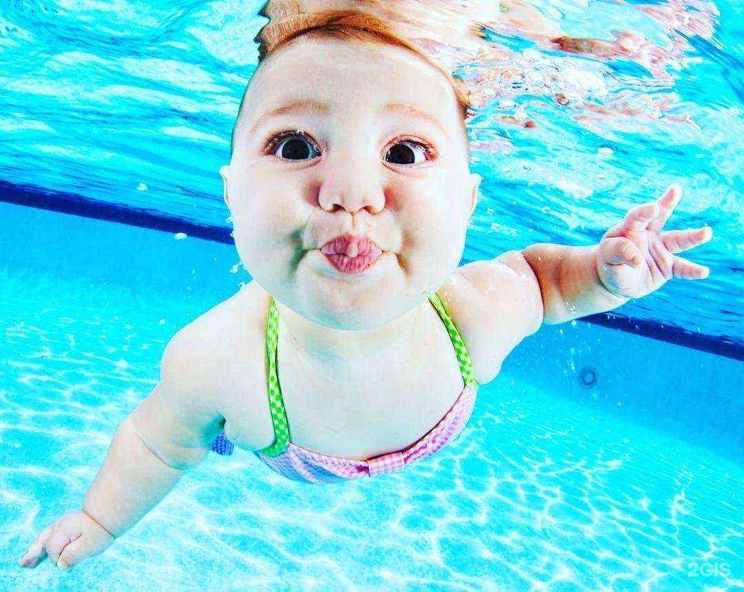 Отзывы на компанию Флаундер в Пушкине c фото