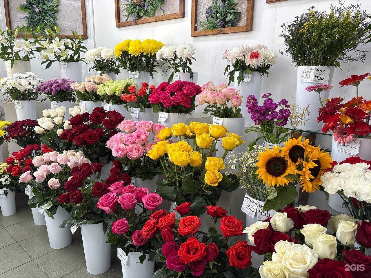 Отзывы на компанию Элис фло в Красноярске c фото