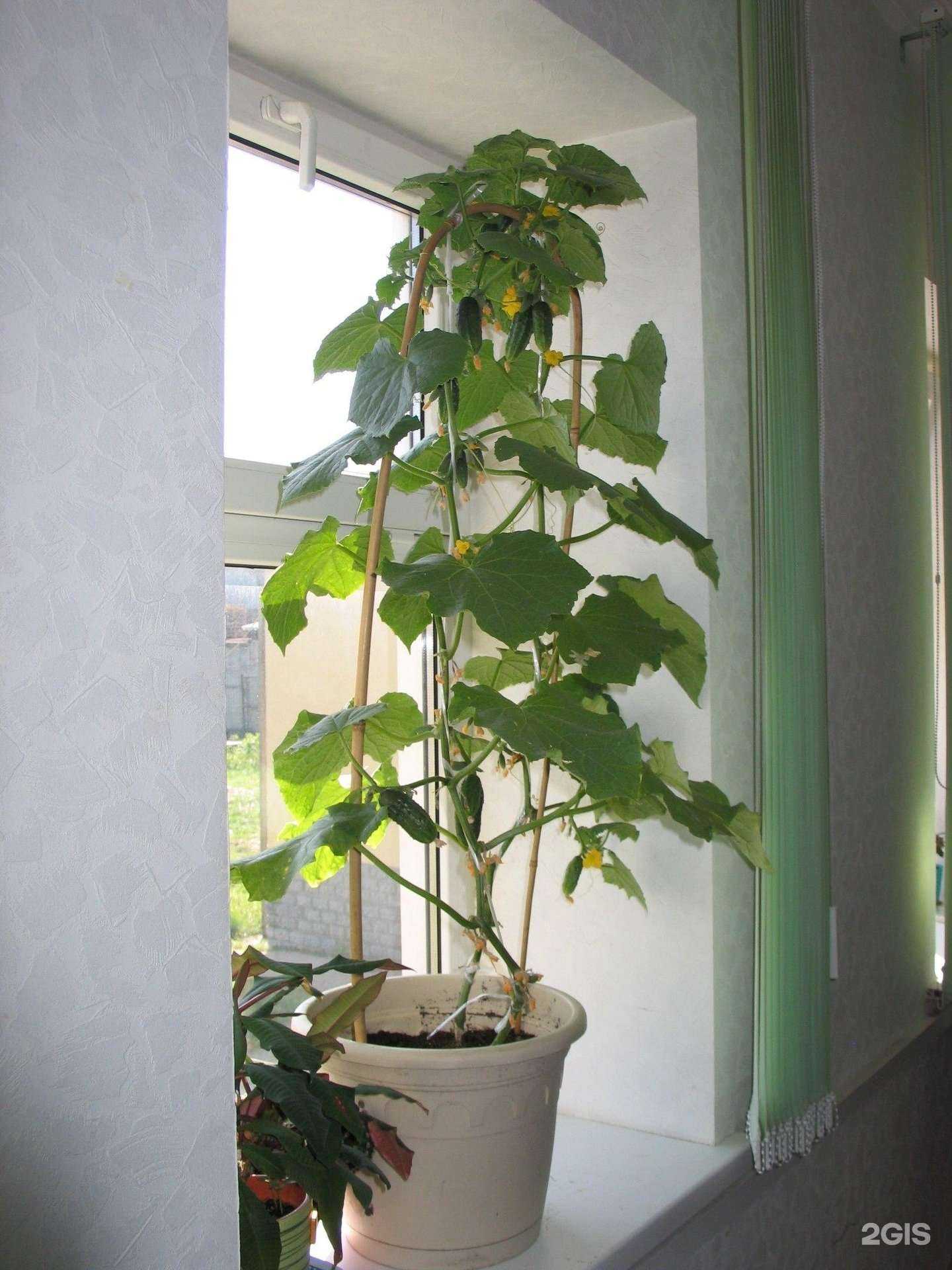 Отзывы на компанию 1001 мелочь в Нижнем Новгороде c фото