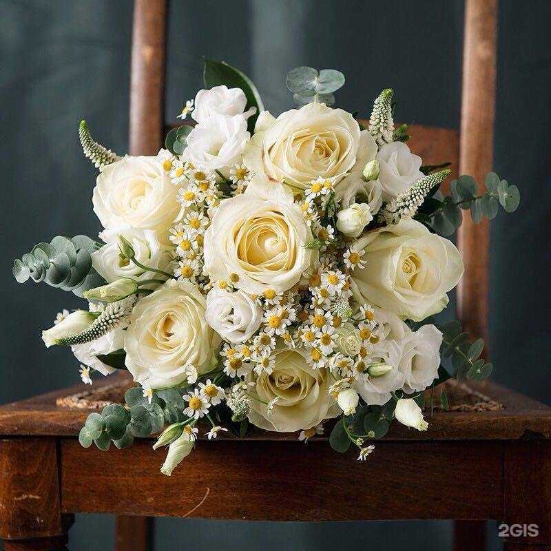 Отзывы на компанию Академия успеха в г. Краснодар c фото