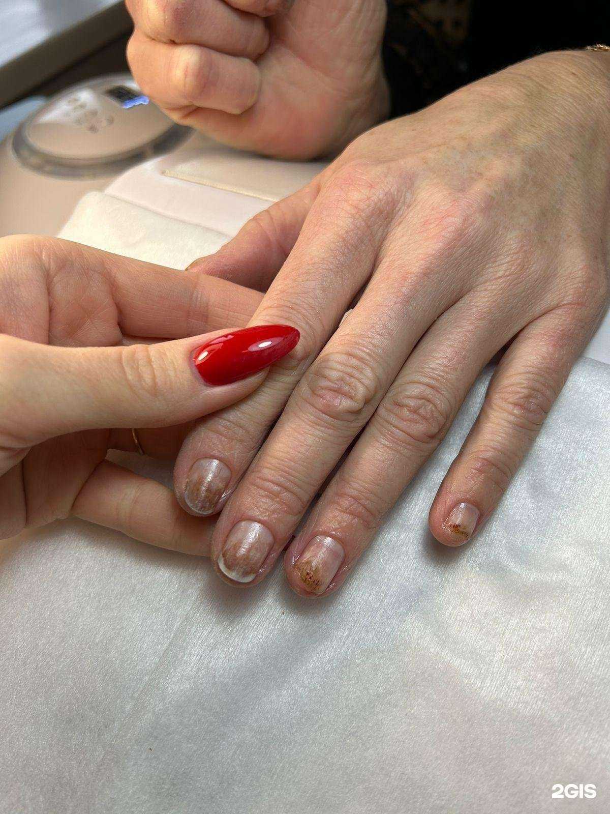 Отзывы на компанию Незабудка в Бийске c фото