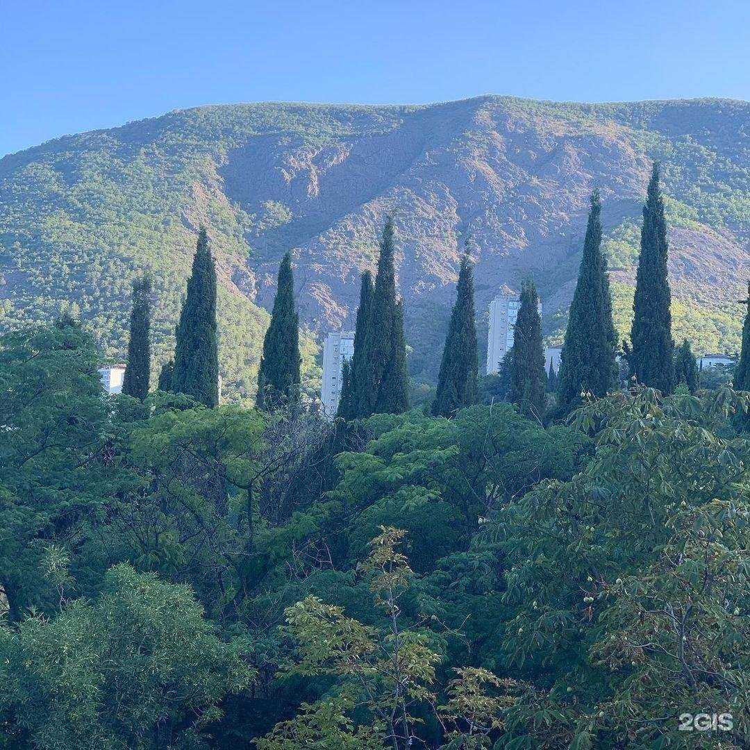 Отзывы на компанию Ремонт+ в г. Екатеринбург c фото