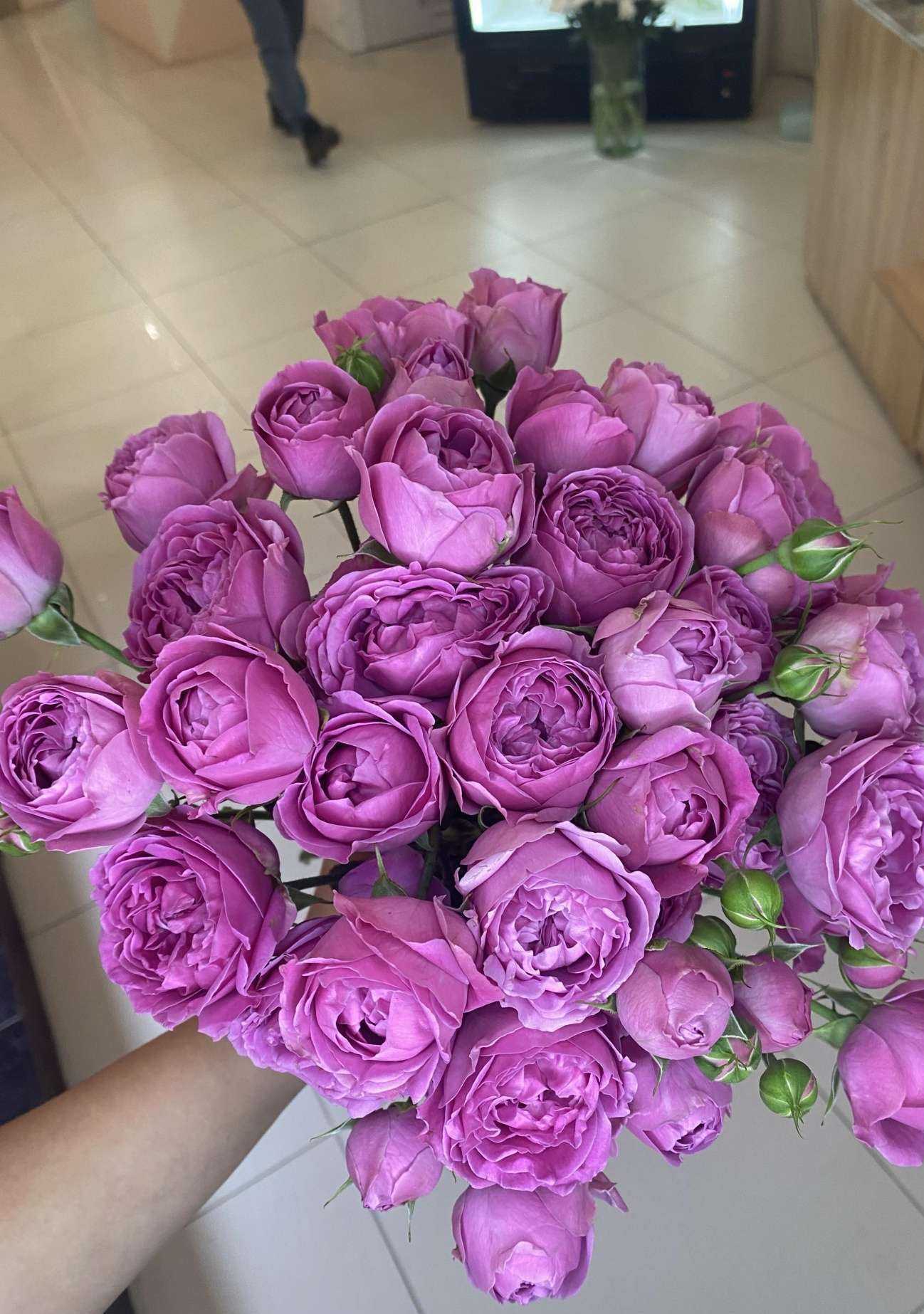 Отзывы на компанию Botanika в Омске c фото