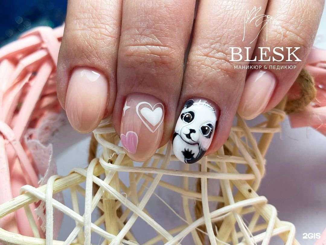 Отзывы на компанию Blesk Studio в Чите c фото