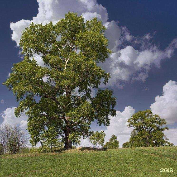 Отзывы на компанию Станция юных натуралистов в Канске c фото