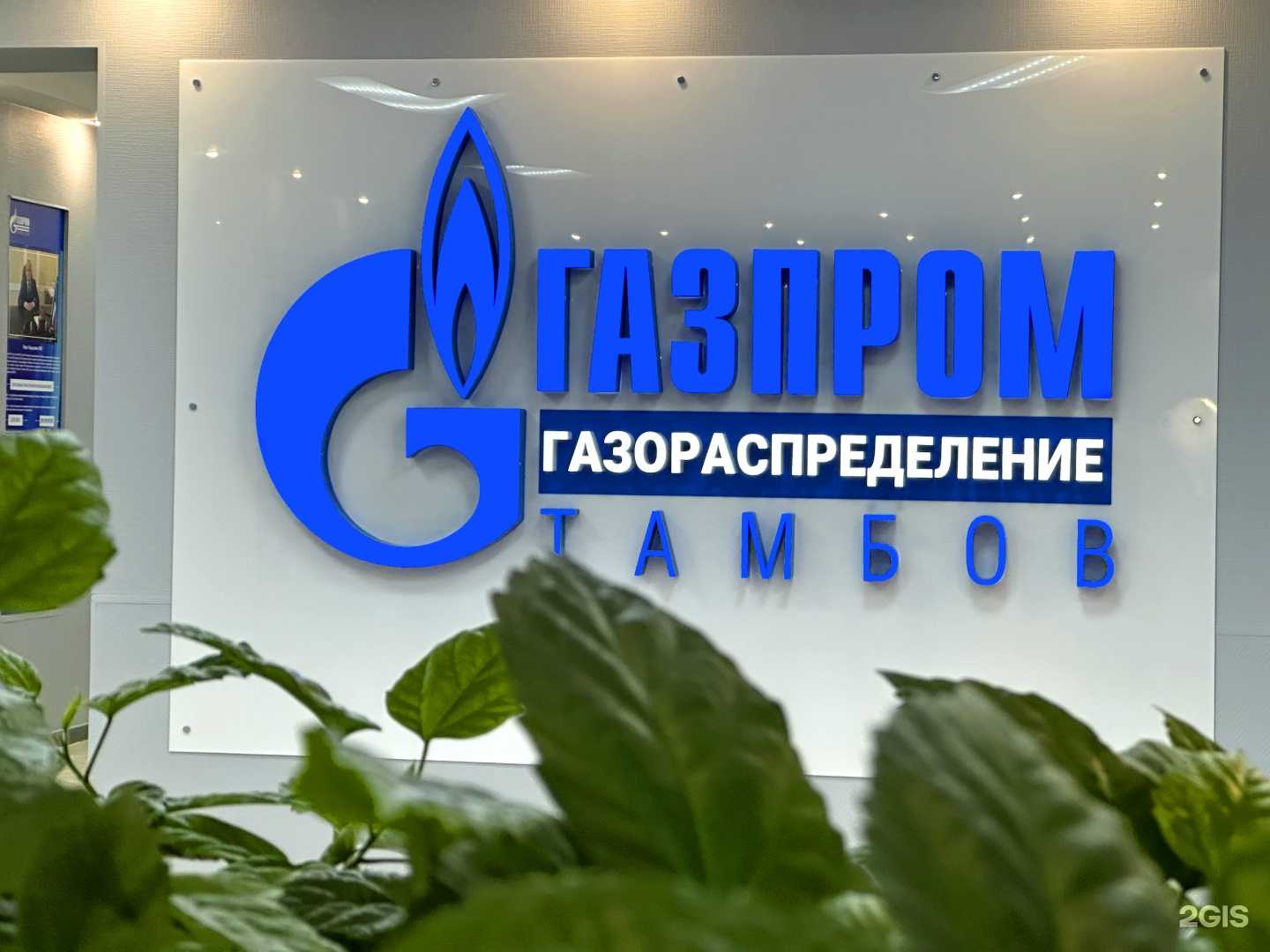 Отзывы на компанию Грин Медиа в Тамбове c фото